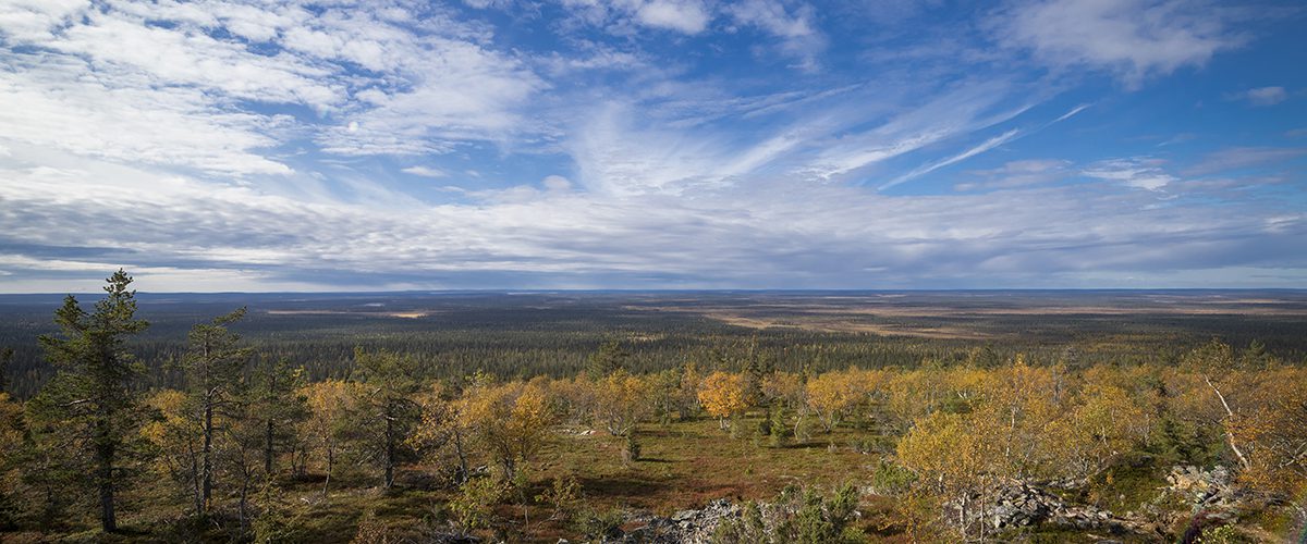 Panoramablick auf den Urho-Kekkonen Nationalpark