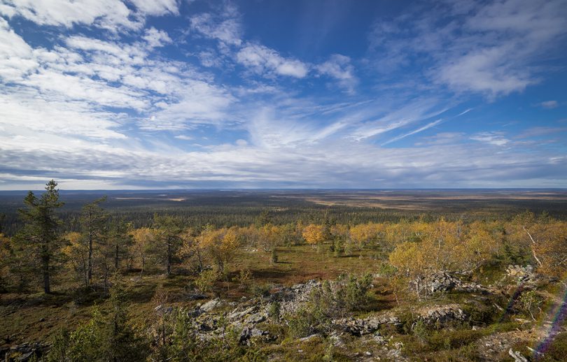 Panoramablick auf den Urho-Kekkonen Nationalpark